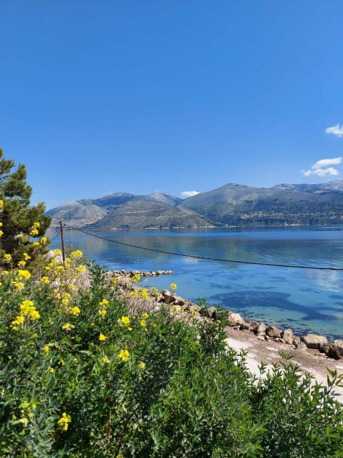 Apollonides Seafront Villa1 Aoede Lixouri Eksteriør billede