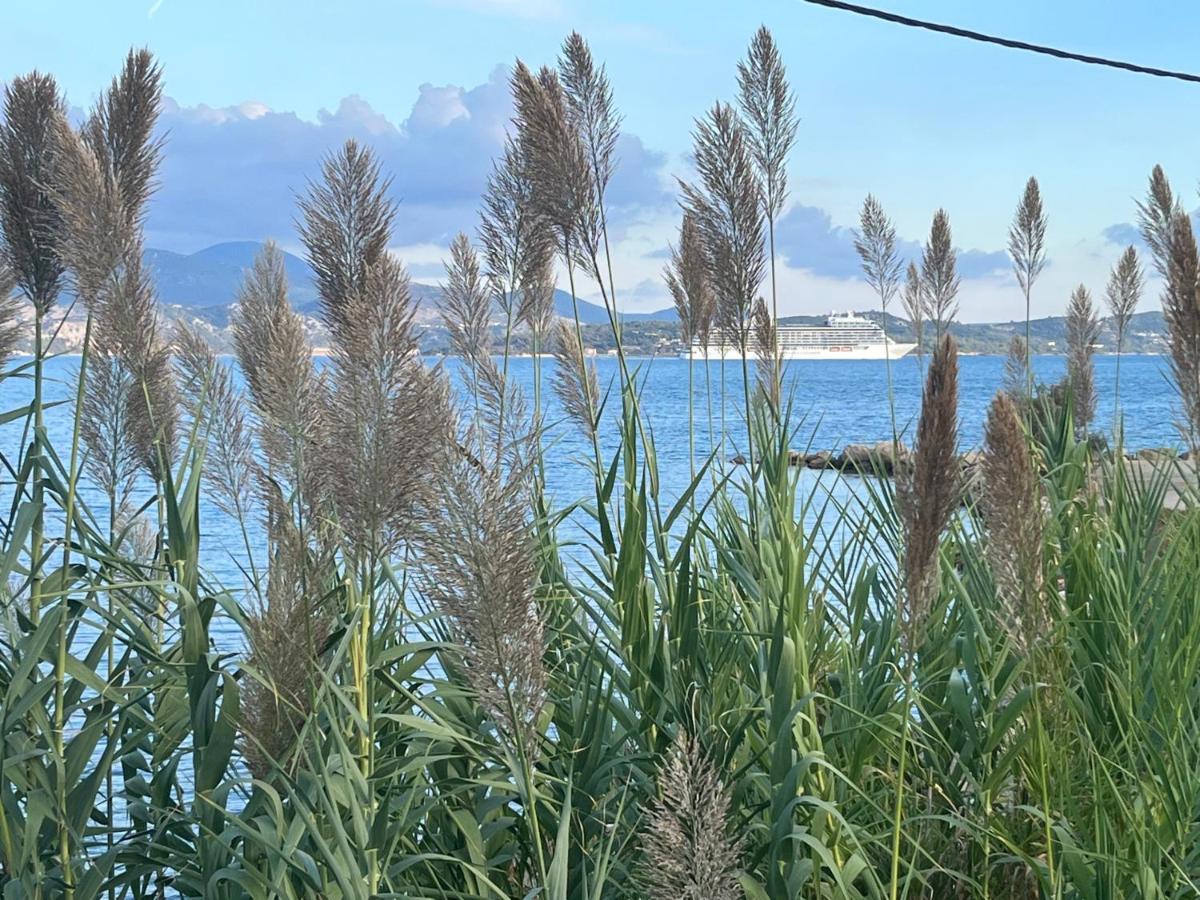 Apollonides Seafront Villa1 Aoede Lixouri Eksteriør billede