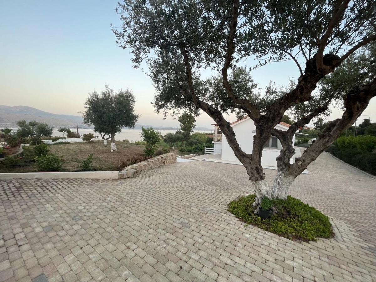 Apollonides Seafront Villa1 Aoede Lixouri Eksteriør billede