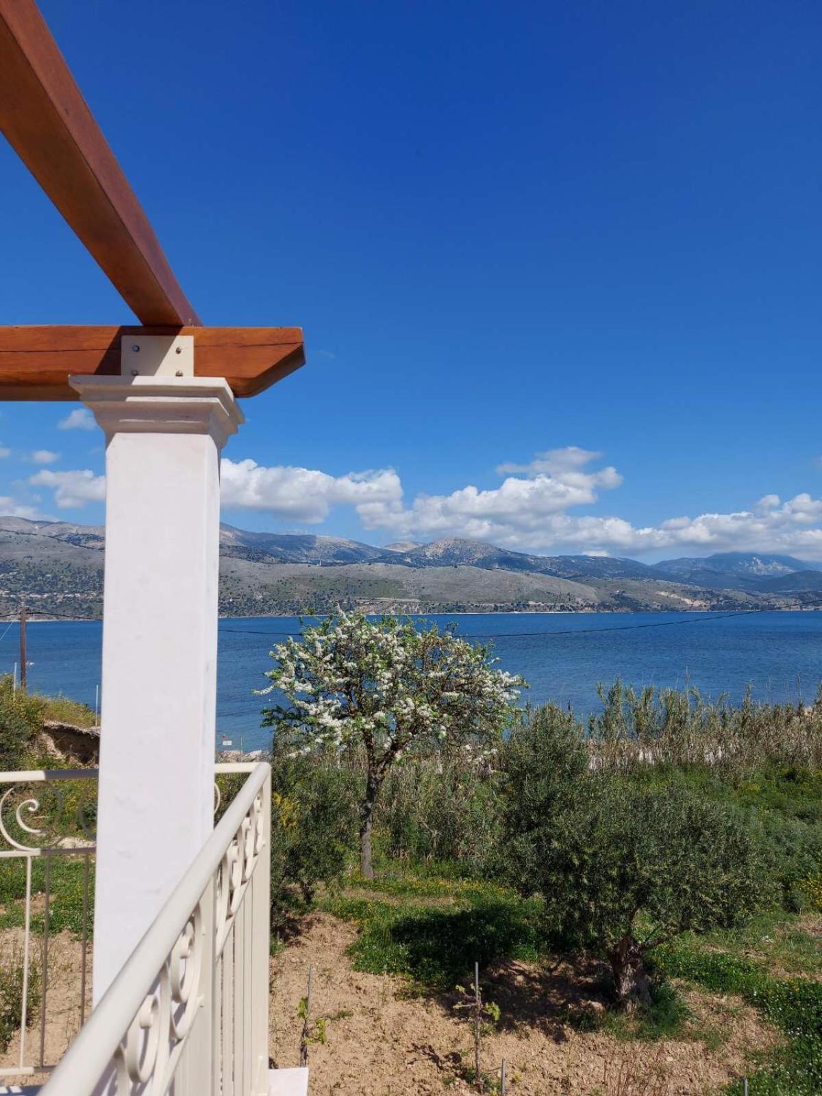 Apollonides Seafront Villa1 Aoede Lixouri Eksteriør billede